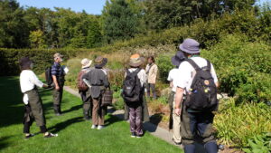 散策の様子(ビーチヘッジ)