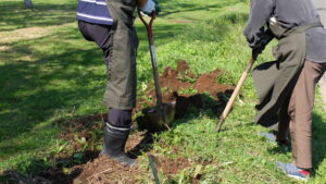 植え床づくりの様子