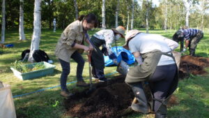 土壌改良の様子