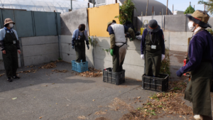 落ち葉を踏み固める様子