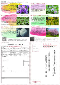 2023年記念樹プレゼントチラシ(裏)