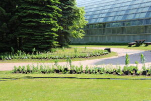 植え付け前の花壇の様子