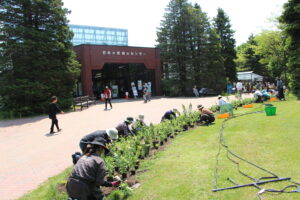 植え込み作業中の様子