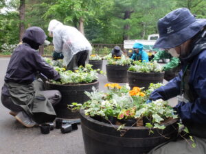 寄せ植え中の写真