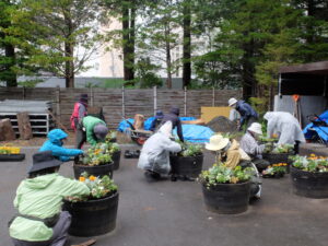 寄せ植え中の写真