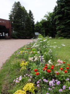 メンテナンス前の花壇の様子
