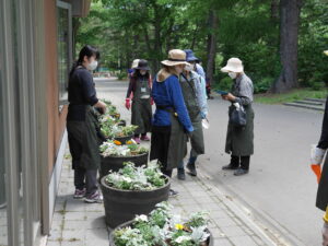 コンテナガーデンの様子