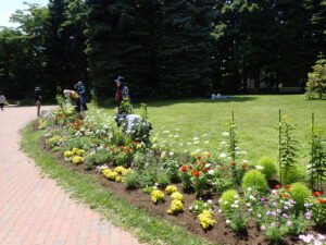 メンテナンス後の花壇の様子