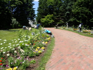 メンテナンス後の花壇の様子