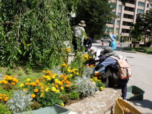 除草中の花壇の様子