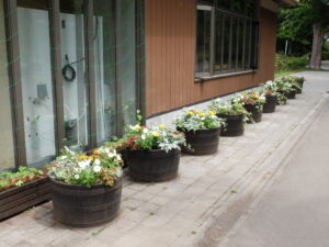 パークセンター横が華やかになりました