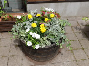 メンテナンス後の様子