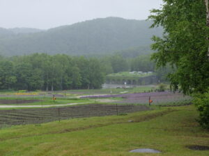 花のまきばを一望