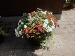 メンテナンス前