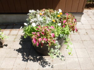 メンテナンス後