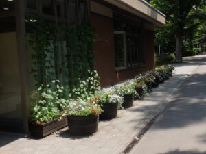 メンテナンス後のコンテナの様子