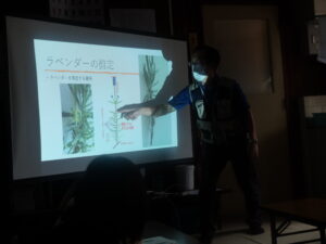 剪定箇所を学んでいます