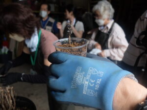 受講者さんの挿し木