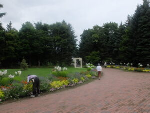 メンテナンス後の様子