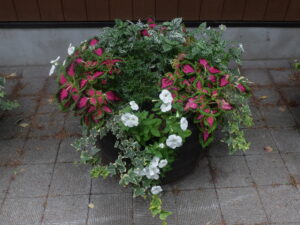 メンテナンス後のコンテナ