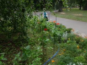 支柱の裏側からの様子