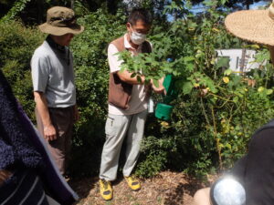 フェロモントラップ