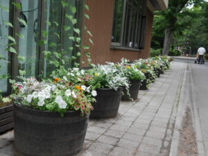 メンテンス後のコンテナの様子