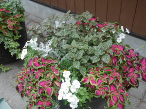 メンテナンス前のコンテナ