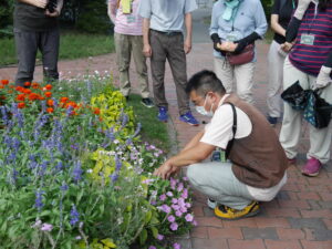 受講生の植栽した花壇でも…