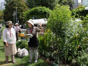ホップの小径の見学