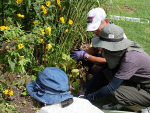 メンテナンス作業中
