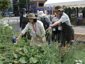 メンテンス作業中