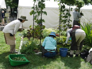 メンテンス作業中