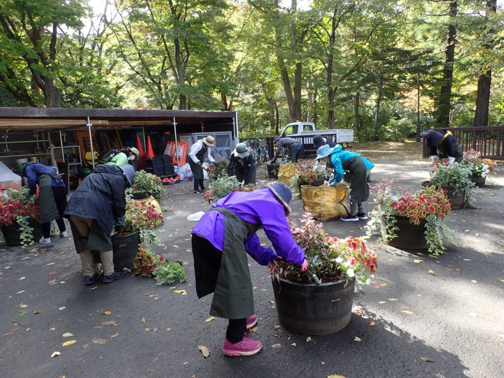 コンテナの植物を抜き取る様子