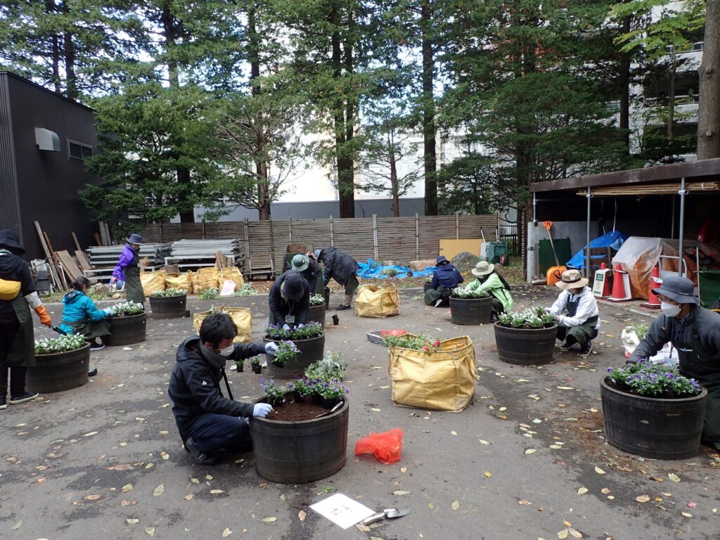 植え込みの様子