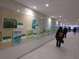 緑の絵コンクール入賞作品展示の様子