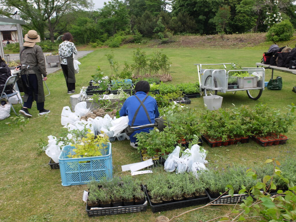 2024年記念樹プレゼントｰ引き換え会場の様子
