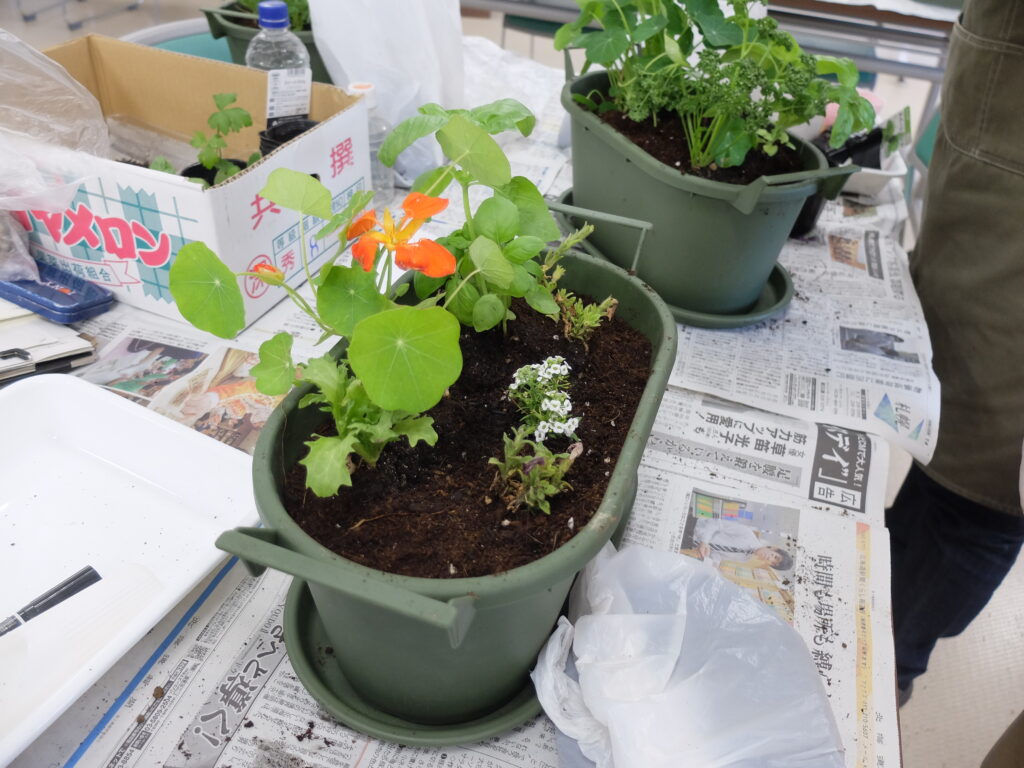 2024年さっぽろまちづくりガーデニング講座第7回目-講義風景