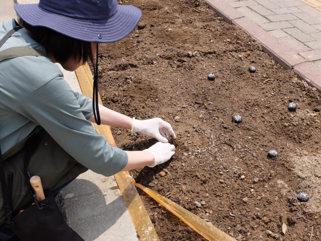 2024年さっぽろまちづくりガーデニング講座第8回目-講義風景