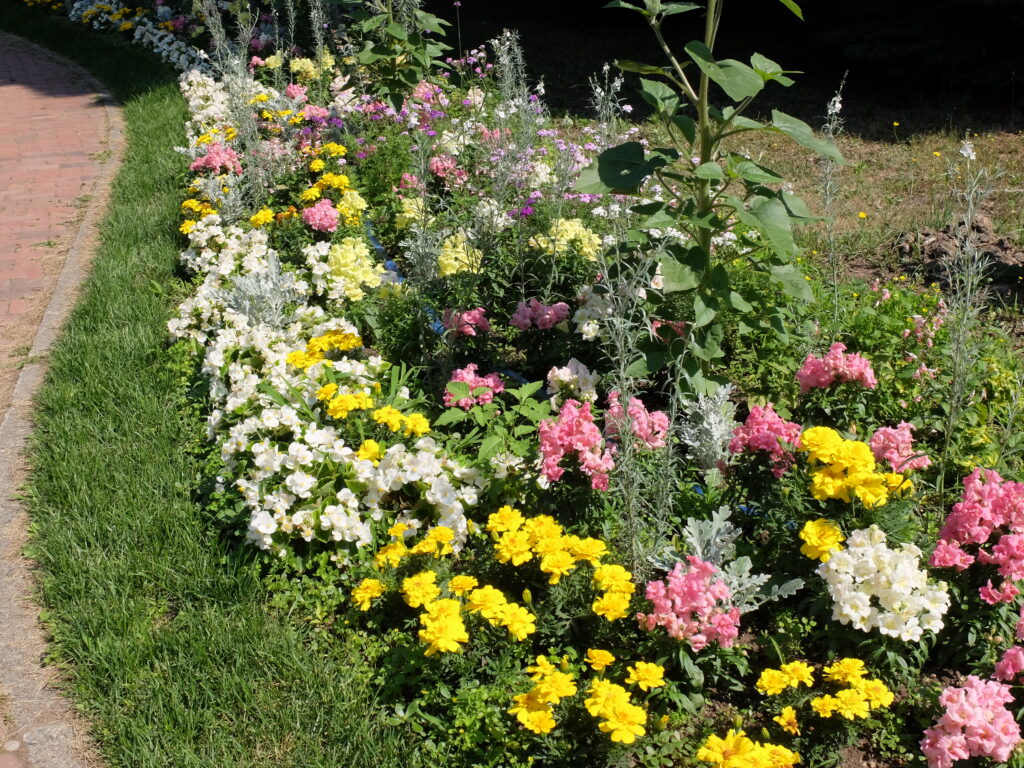 2024年さっぽろまちづくりガーデニング講座第9回目-講義風景