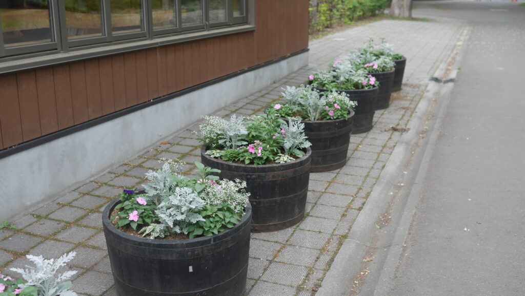 2024年さっぽろまちづくりガーデニング講座第6回目-講義風景