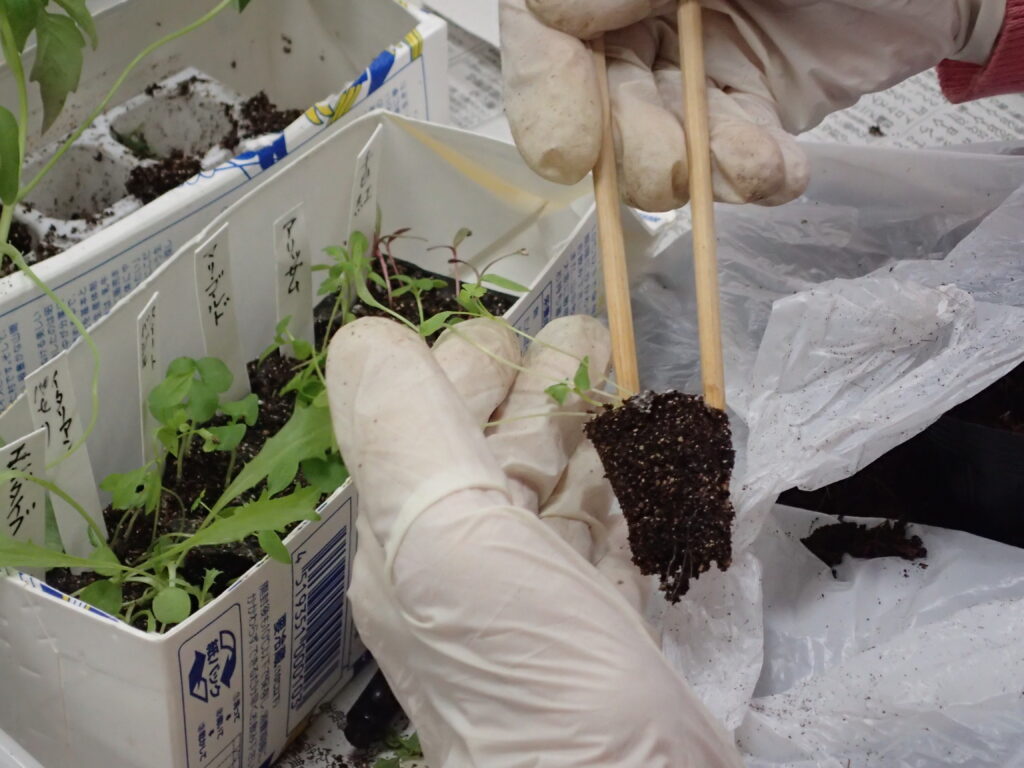 2024年さっぽろまちづくりガーデニング講座第4回目-講義風景