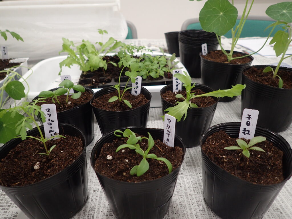 2024年さっぽろまちづくりガーデニング講座第4回目-講義風景