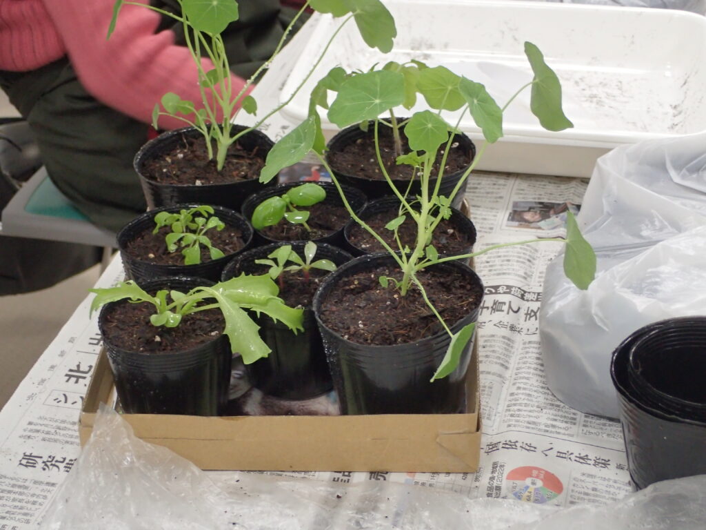 2024年さっぽろまちづくりガーデニング講座第4回目-講義風景