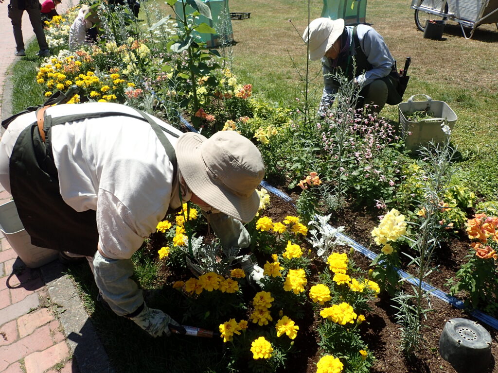 2024年さっぽろまちづくりガーデニング講座第9回目-講義風景