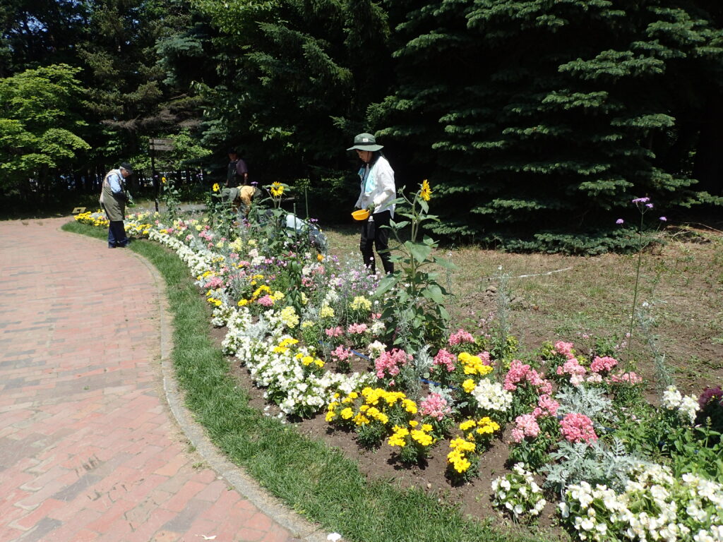 2024年さっぽろまちづくりガーデニング講座第9回目-講義風景