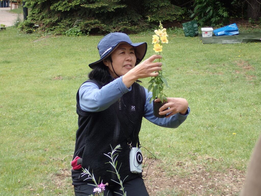 2024年さっぽろまちづくりガーデニング講座第5回目-講義風景