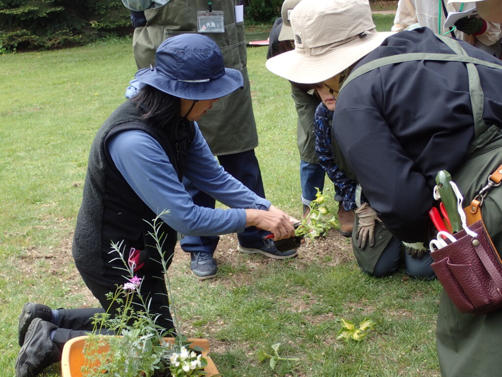 2024年さっぽろまちづくりガーデニング講座第5回目-講義風景