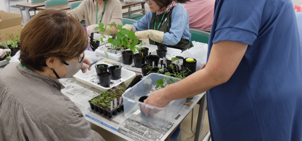 2024年さっぽろまちづくりガーデニング講座第4回目-講義風景