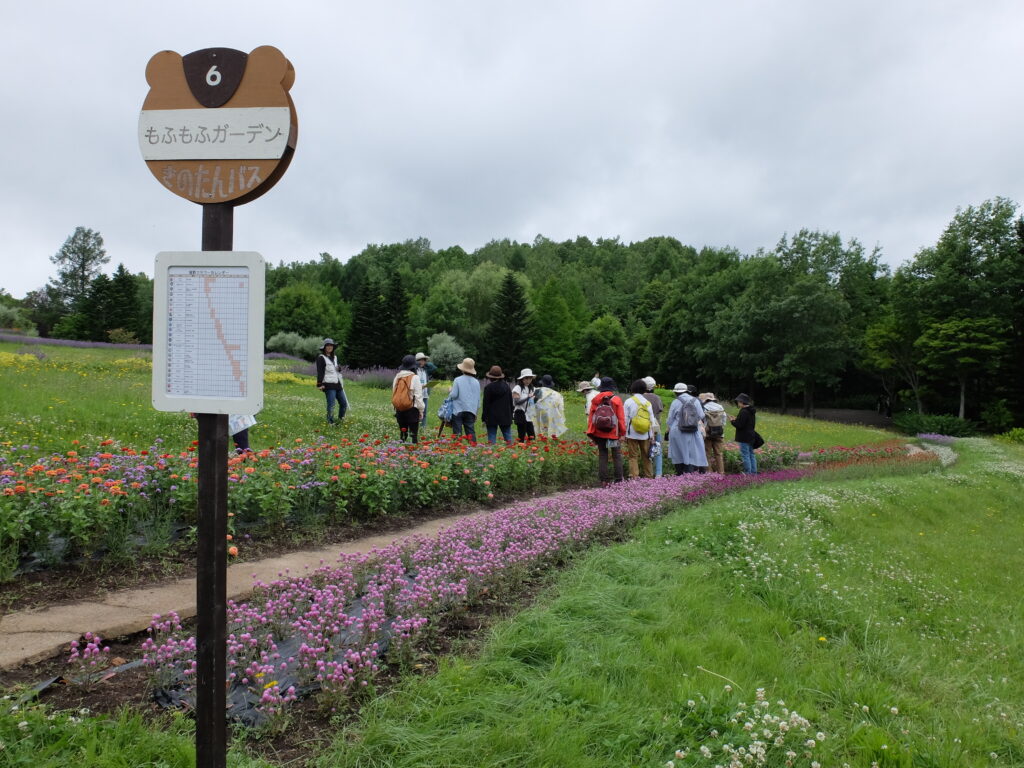 2024年さっぽろまちづくりガーデニング講座第10回目-見学会風景